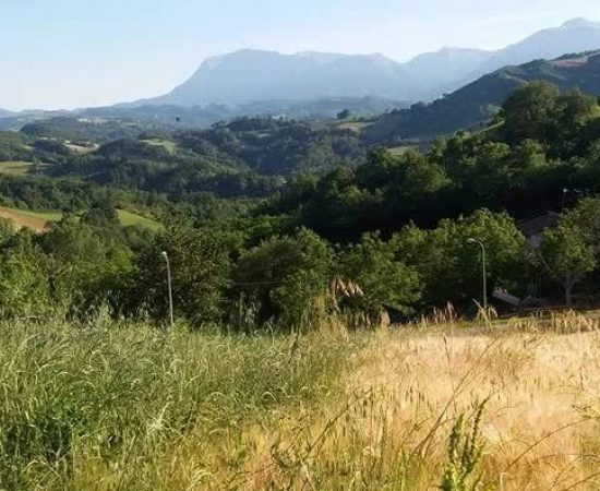 004a0283ce24016b77fecdaede285a1_mv2