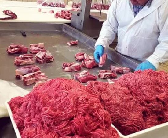 18a78c363ca4f95b9a565c8b5288ef3_mv2