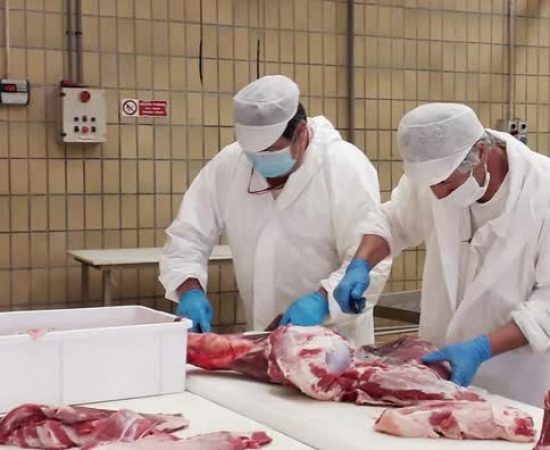 1f9b9041d72443092b42af7df4d10b2_mv2