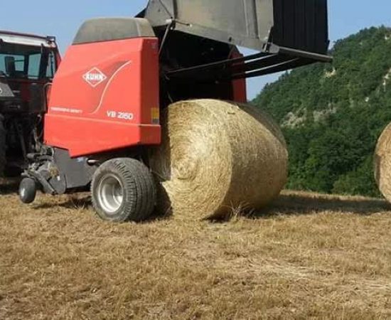 23f373a7fd14753a835fa8bc7ad6c42_mv2