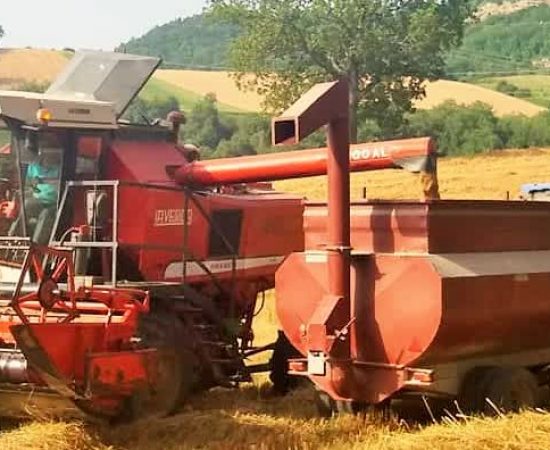 3fbf48cb2cc40af9940a468c910b094_mv2