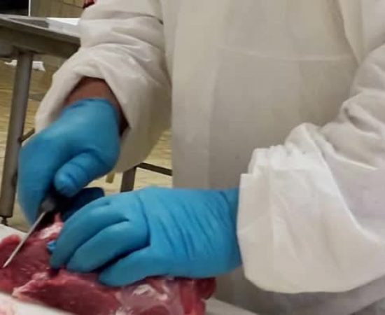 4876cf47de84ba8bac3e334585870b2_mv2