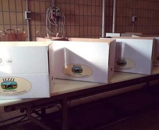 62074e9f6d14a71bc6b29381b874072_mv2