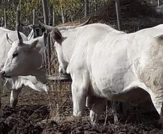 742d0f40f944fb78ccb207eaa25bdb1_mv2