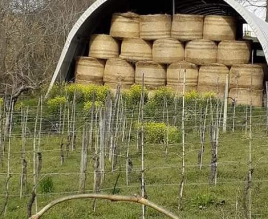 7bda62be00c4ae7b29345fda3c31ea5_mv2