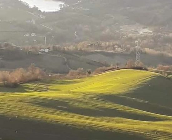 81a9fe5ea184d3a8ed518ac2c007e8f_mv2