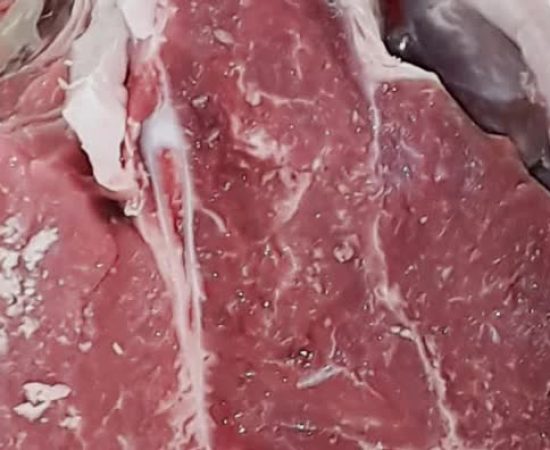 88e1064954a490abc2a60eb4a2ea94f_mv2