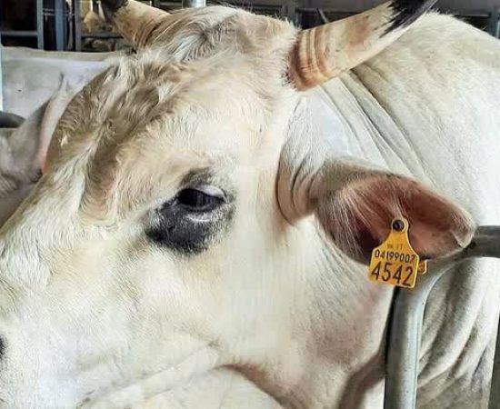 9631f1bd62e4e14930cf7f725dca9e7_mv2