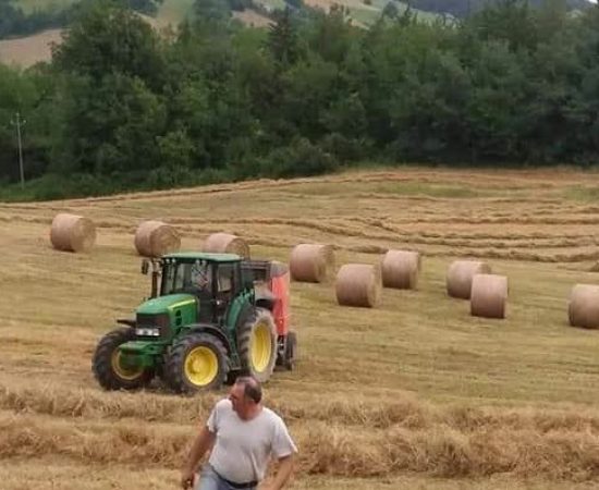 9d81cbd569e4cfc9e9e1e02cba530f1_mv2