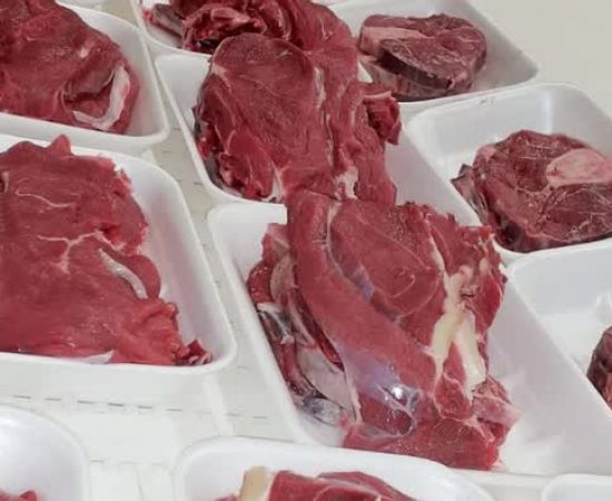 a28c36d51964e8c8272b78a25cab167_mv2