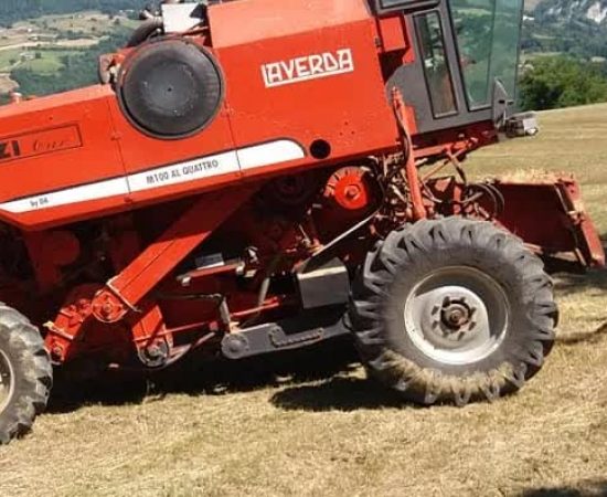 cabadca4f8d426bbccc978d203de193_mv2