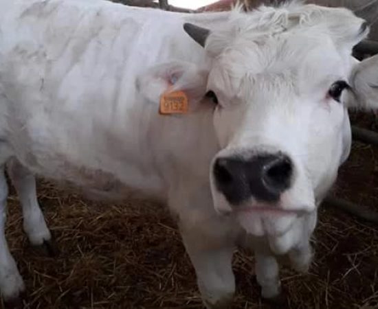 d40e02c405648c9a7a00c8e9c788735_mv2