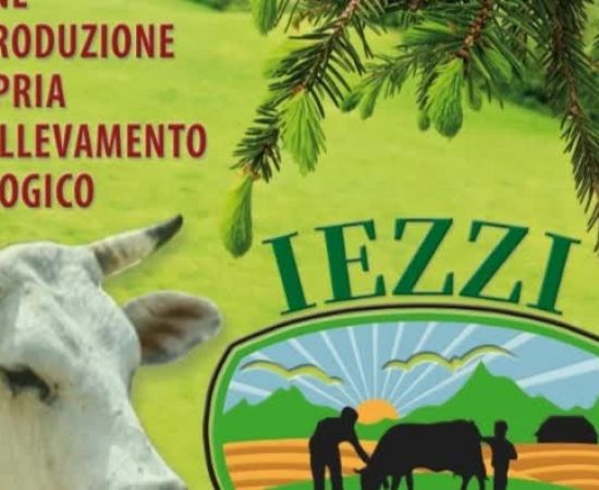 d8b33257efe43b3a0978a3e1e3b54bb_mv2